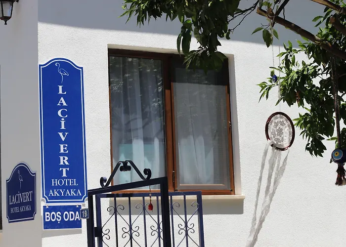 Lacivert * 아키아카