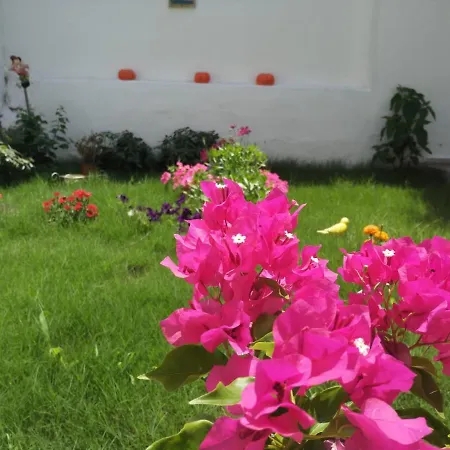 Lacivert Akyaka Akyaka (Mugla)